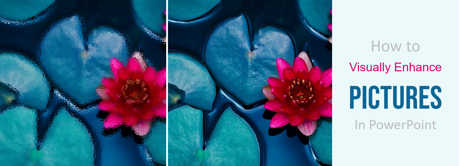 How to Visually Enhance Pictures in PowerPoint