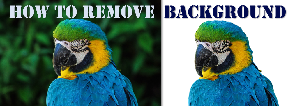PowerPoint Tutorial- How to Remove Background of Pictures in a Minute